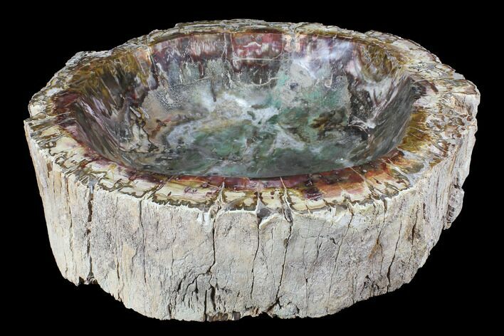 Wide Polished Petrified Wood Bowl - lbs #95082